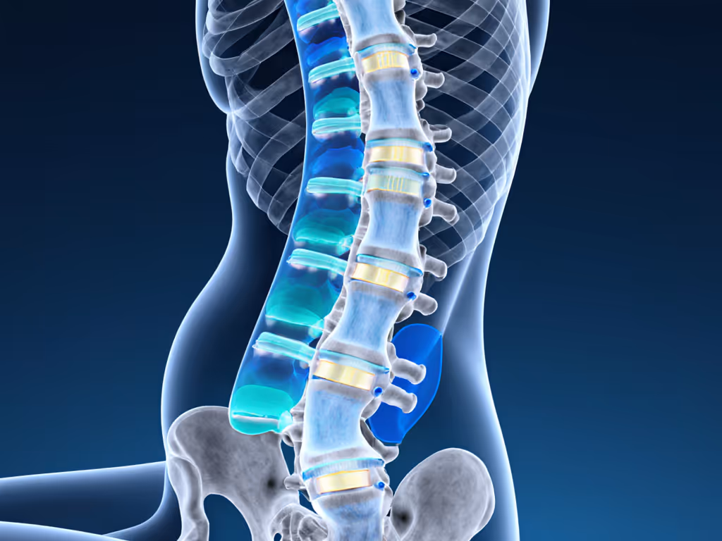 spinal_anatomy_showing_disc_pressure_at_different_angles